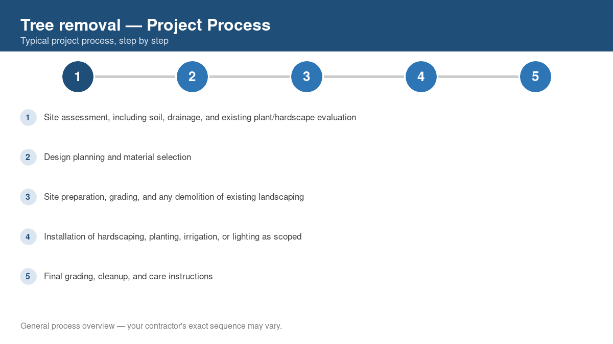 Step-by-step diagram of the typical process for tree removal