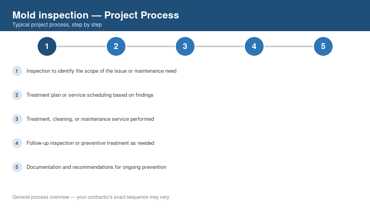 Step-by-step diagram of the typical process for mold inspection